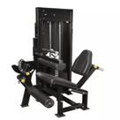 Cadeira Extensora e Flexora Com Carga Line Fitness