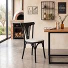 Cadeira Paris Premium Sala de Jantar Cozinha Gourmet Conforto Design Moderno Luxo - Preta/branca