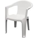 Cadeira plástica com braços - Sonho Verde (Branco)