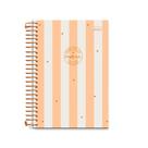 Caderneta Espiral Capa Dura Pequena 1/8 Day Dream 90g 80 Folhas CADERSIL