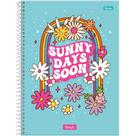 Caderno 01X1 Capa Dura EVER 80 Folhas Pacote com 4 Unidades