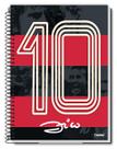 Caderno 1 Matéria Zico 80 Fls Time Flamengo Com Poster 56x50