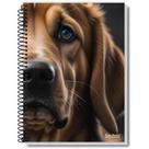 Caderno 10X1 Capa Dura ROX 200FLS. PCT.C/03