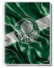 Caderno 20 Materias Palmeiras 320 Folhas Credeal Caderno 20 Materias Palmeiras 320 Folhas Credeal