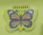 Caderno A5 Borboleta