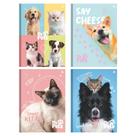 Caderno brochura 1/4 capa dura 80 folhas my pets sortido - são domingos/animativa