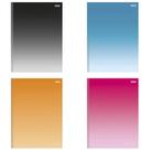 Caderno brochura 11 cd 80f colors sao domingos 10434