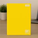 Caderno Brochura Universitário 96 Folhas Soft Book Nova Cores