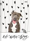 Caderno Brochurão 80 Folhas Capa Dura My Pets Sd - LC