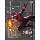 Caderno Brochurao Grande Spider Game 80fls Capas Sortidas