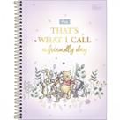 Caderno De 01 Materia Univers Connect Pooh 80fls Capa Sortid