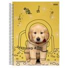 Caderno De 10 Materias Cd 160f My Pets Capas Sortidas Caderno De 10 Materias Cd 160f My Pets Capas Sortidas