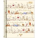 Caderno De 10 Materias Colegial Pooh 160fls Capas Sortidas