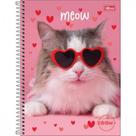 Caderno De 20 Materias Feminino Zoom+ 400fls Capas Sortidas