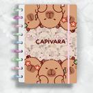 Caderno de disco capivara 8 discos - soul disc (capa dura)