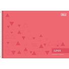 Caderno Desenho Univ Capa Dura Lunix Espiral 60Fls.
