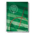 Caderno Do Capa Dura Palmeiras Espiral 1 Matéria 80F Escolar