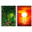 Caderno Espiral Foroni Capa Dura 1/4 4 Elementos 160 Folhas - Embalagem com 5 Unidades Caderno Espiral Foroni Capa Dura 1/4 4 Elementos 160 Folhas - Embalagem com 5 Unidades