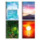 Caderno Espiral Foroni Capa Dura 1/4 4 Elementos 80 Folhas - Embalagem com 5 Unidades Caderno Espiral Foroni Capa Dura 1/4 4 Elementos 80 Folhas - Embalagem com 5 Unidades