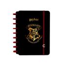 Caderno Inteligente 1/4 1x1 80 Fls Jandaia - Harry Potter 1