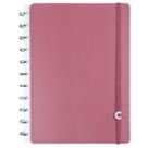 Caderno Inteligente Guava Cor Tom Goiaba A4 Tamanho Grande Capa Dura Deluxe Discos Universitário Escolar Folha Destacável