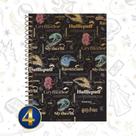 Caderno Jandaia Colegial Capa Dura Harry Potter 80 Folhas - 1 Matéria -