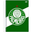 Caderno Jandaia Palmeiras - 1 Matéria - 96 fls