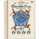 Caderno Jandaia universitário 10M Harry Potter 200 folhas -