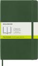 Caderno Moleskine Classic - Capa Mole Verde Mirtilo - 192 Páginas