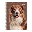 Caderno Pet 10 Matérias Escolar Jovem Universitário Espiral
