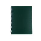 Caderno Prime Royal Paper Pautado 100Fls 18,5x25,5cm Verde