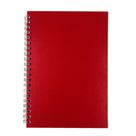 Caderno Prime Royal Paper S/Pauta 100Fls 20,5x28cm Vermelho