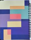 Caderno singular universitário color block - 10 materias