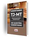 Caderno TJ-MT - Analista Judiciário - Administração - 450 Questões Gabaritadas