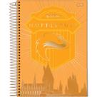 Caderno Univ. 10 Mat. 160 Fls Harry Potter Capa 1 - Jandaia Caderno Univ. 10 Mat. 160 Fls Harry Potter Capa 1 - Jandaia