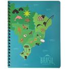 Caderno Universitário 1 Matéria Mapa Do Brasil 80 Folhas
