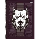 Caderno universitário 12 matérias 192 fls Power Dog Foroni