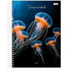 Caderno universitario capa dura 1 materia 80 folhas jandaia