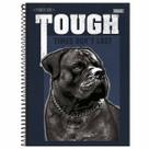Caderno universitário capa dura 15 matérias 240 fls Power Dog Foroni Caderno universitário capa dura 15 matérias 240 fls Power Dog Foroni