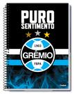 Caderno Universitário Grêmio 10 Matérias 160 Folhas Credeal