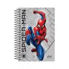 Caderno Universitário Homem-Aranha Teia 1 Matéria Office Basics