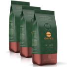 Café em Grãos Premium Orfeu Intenso Kit 3 Pacotes de 250g