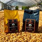 Café Especial "Gourmet CGP" Gold
