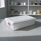 Caixa 630 C/Tampa 16,5 Litros Pleion - Armazenamento Seguro