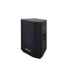 Caixa Acústica Oneal OB2030 250Wrms