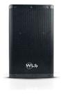 Caixa Amplificada 300w 10 Pol Bt Tws Dsp Wls Z10 Monitor Fly Preto 127/220v