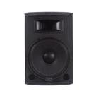 Caixa Ativa Donner Saga SGX 15 Tweeter Piezo 300 Wrms