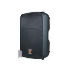 Caixa Ativa Staner SR-315A - 300 Watts RMS - AP0199