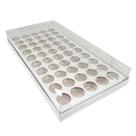 Caixa Base Brigadeiro - Branco - 50 Cavidades (39x20x5) - 1 unidade - Decora Doces - Rizzo