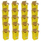 Caixa Coletora Descarte Material Perfurocortante 3 Litros Descarpack Kit 20un